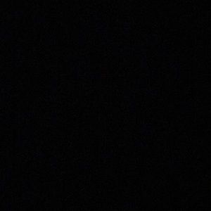 Meet your Posher, Delaney